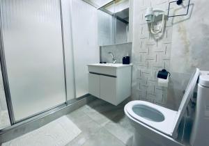 伊斯坦布尔HOTEL ÖZSEFA的浴室配有卫生间、盥洗盆和淋浴。