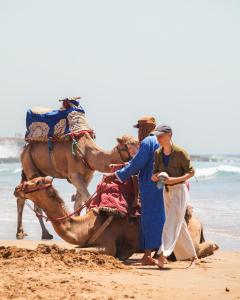 阿加迪尔Desart Hostel的一群人在沙滩上的骆驼上
