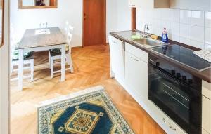 普雷罗Stunning Home In Prerow With Wifi And 1 Bedrooms的厨房配有水槽和一张带地毯的桌子