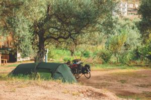 希马拉Olive Camping的树旁的帐篷,配有自行车