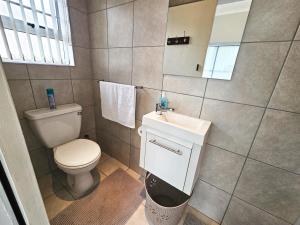 东伦敦Sea Breeze Manor - Aqua Unit的一间带卫生间、水槽和镜子的浴室