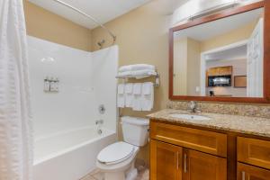 印第安纳波利斯东印第安纳波利斯烛木套房酒店的一间带卫生间、水槽和镜子的浴室