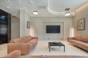 波茨坦Elisapart - Apartments am Sommerschloss的客厅配有两张沙发和一台电视机