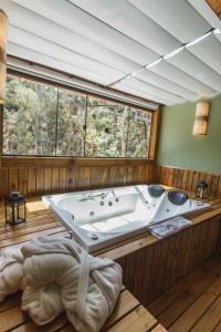 蒙特韦尔迪Pousada Canto da Nascente的带浴缸和大窗户的大浴室