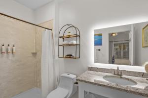 华盛顿Little Inn on Main的浴室配有卫生间、盥洗盆和淋浴。