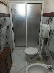 杰里科BnB La Luna Entire Apartment的浴室配有卫生间、淋浴和盥洗盆。