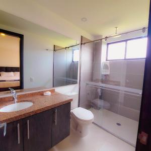 MosqueraLa Isabella Deluxe的浴室配有卫生间、淋浴和盥洗盆。