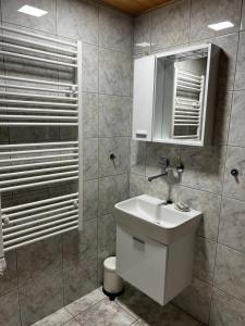 利托梅日采Květinová的浴室配有白色水槽和淋浴。