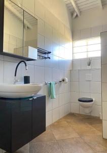 努尔德Pura Vida Aruba Appartement Palma的一间带水槽和卫生间的浴室