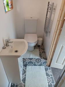 威特尼Private Suite in Oxfordshire, A40的一间带卫生间和水槽的小浴室