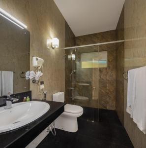 康提Hotel Cassendra的一间带水槽、卫生间和淋浴的浴室