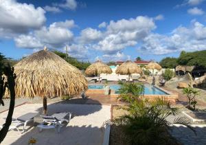 努尔德Pura Vida Aruba appartement Cama的一个带游泳池、一些稻草遮阳伞和椅子的度假村