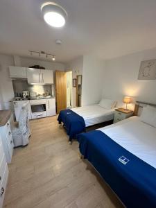 剑桥The Tas Suites - Tas Accommodations的酒店客房带两张床和厨房