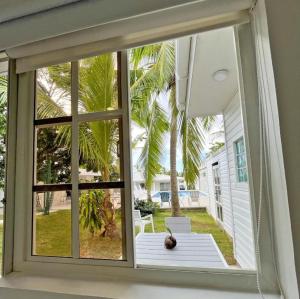 圣安德烈斯Zaba Beach House的享有庭院景致的窗户
