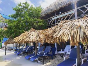 布兰卡滩Posada Shekinah Barú的海滩上的一组椅子和草伞