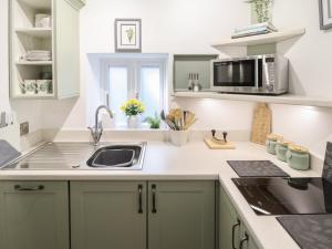 根斯堡Swallow's Nest的厨房配有绿色橱柜、水槽和微波炉