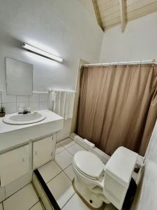 巴斯特尔E.W.B. Properties的白色的浴室设有卫生间和水槽。