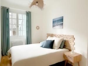 索恩河畔沙隆"Douceur de vignes", cosy, coeur de ville, Classé 3 étoiles - BY PRIMO C0NCIERGERIE的卧室配有带蓝色枕头的大型白色床
