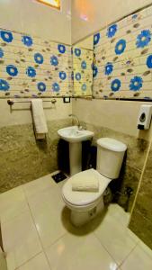开罗Store pyrmids view的一间带卫生间和水槽的浴室