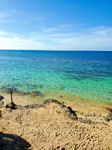 蒙特哥贝Evelin's On The Beach的沙滩上可欣赏到海景