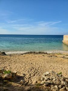 蒙特哥贝Evelin's On The Beach的海滩与大海相映成趣