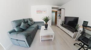 德尼亚apartaluxdenia的带沙发和电视的客厅