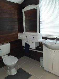 Wangan Tropical Getaway的一间带卫生间、水槽和镜子的浴室