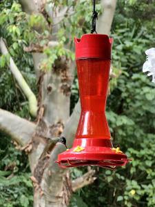 危地马拉危地马拉优克斯拉比尔生态套房酒店的挂在树上的红色鸟食