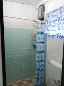霍尼亚拉Island Home的一间带蓝色淋浴帘的淋浴的浴室