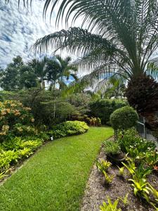 那不勒斯Florida house, 4br 2bt with private pool oasis的花园拥有郁郁葱葱的绿色草坪和棕榈树