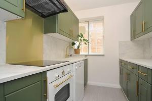 普里茅斯Stylish apartment, Barbican的厨房配有绿色橱柜和水槽