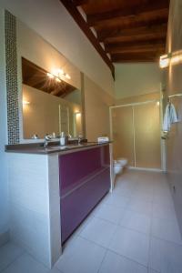 AiaOribarzar - Vivienda acogedora en plena naturaleza的一间带水槽、镜子和卫生间的浴室