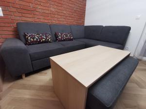 Dobrzeń WielkiApartament na Irysowej的客厅配有沙发和桌子