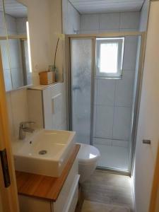 黑里绍Bijou 1 Hübsche 1 Zimmer Wohnung的浴室配有卫生间、盥洗盆和淋浴。