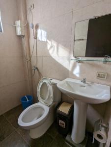 爱妮岛德瓦恩酒店的一间带水槽、卫生间和镜子的浴室