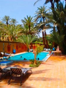 扎古拉切斯阿里酒店 的一个带棕榈树和椅子的游泳池的度假酒店