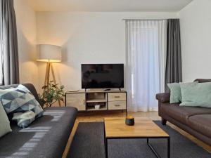 圣莫里茨Apartment Via Surpunt - Perspektiva - 5 Rooms的带沙发和平面电视的客厅