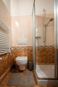 沃卡罗Art Apartment Ticino的一间带卫生间和淋浴的浴室