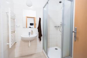 利托米什尔海彦卡斯特拉克夫酒店的带淋浴和盥洗盆的浴室