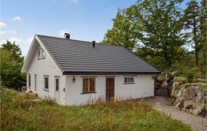 桑讷菲尤尔Amazing Home In Sandefjord With Wifi的山坡上白色的房子,屋顶黑色