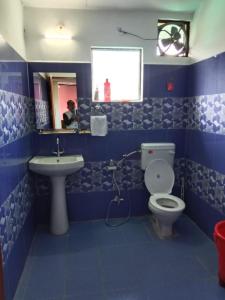 BadīyārgaonVillotale Khadait SH的蓝色的浴室设有卫生间和水槽