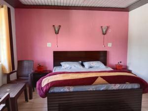 BadīyārgaonVillotale Khadait SH的一间卧室配有一张带粉红色墙壁的大床