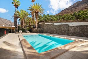 莫甘Paraiso del Molinero Alto的一座棕榈树和石墙的游泳池