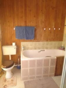 PrieskaHolope Self-Catering Accomm的浴室配有白色浴缸和卫生间。