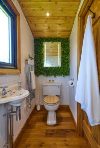 WichenfordAbberley Shepherds Hut - Ockeridge Rural Retreats的一间带卫生间、水槽和镜子的浴室