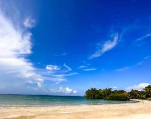 La Tranquilidad Beach Club的一片绿树成荫的海滩和蔚蓝天下的海洋