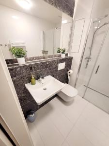 布尔诺Garden apartment Brno center的浴室配有卫生间、盥洗盆和淋浴。