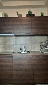 克拉古耶瓦茨Apartman D Lux Jacuzzi的一个带木制橱柜和水槽的厨房
