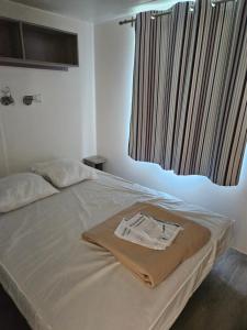 BoofzheimMobil-home climatisé (proximité EUROPA PARC)的一间卧室配有一张床铺,床上有毯子