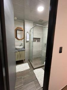 圣罗莎德卡瓦尔Moderno apto familiar piso 2的带淋浴和盥洗盆的浴室